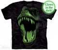 Добрый динозаврик на футболке с красивыми зубками