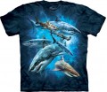 Хорошая футболка с акулами для ребенка